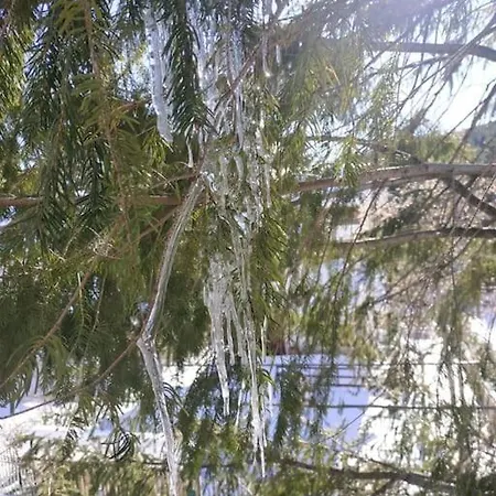 Comodo In Sila Moccone-camigliatello