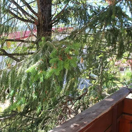 Comodo In Sila Moccone-camigliatello Camigliatello Silano