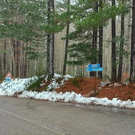 Comodo In Sila Moccone-camigliatello Appartement *