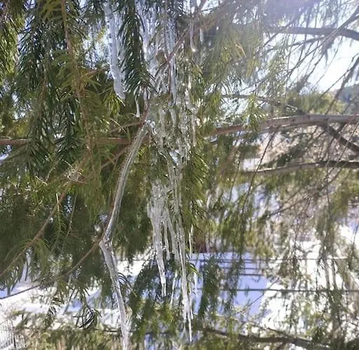 Comodo In Sila Moccone-camigliatello