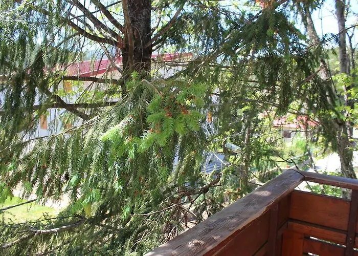 Comodo In Sila Moccone-camigliatello 卡迈格拉特罗希拉诺