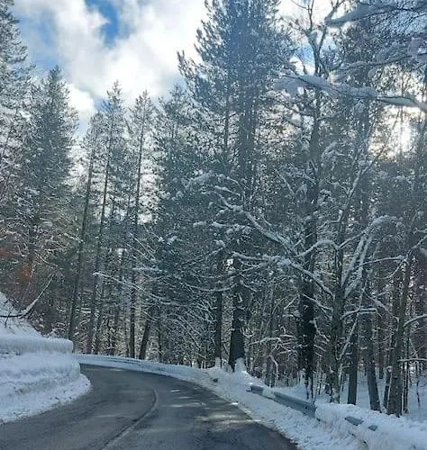 公寓 Comodo In Sila Moccone-camigliatello